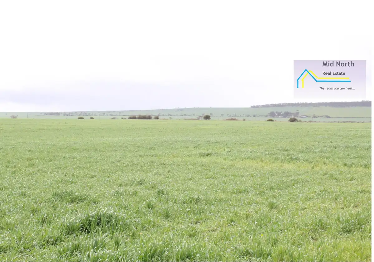 Main view of Homely land listing, LOT 780 Bumbunga Road, Lochiel SA 5510