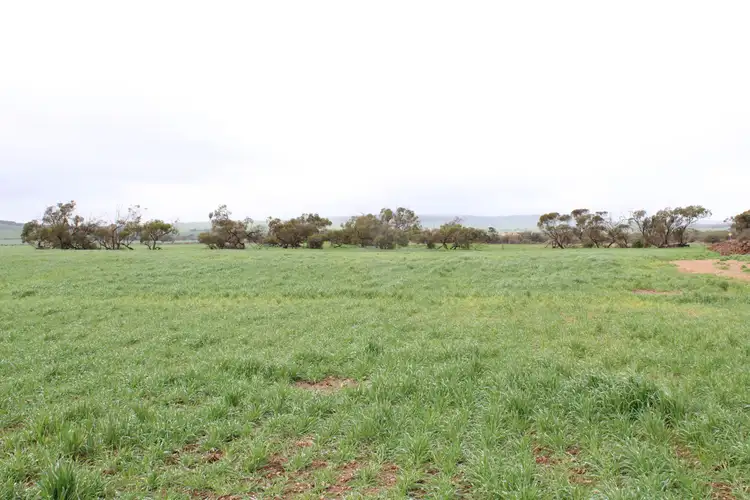 Third view of Homely land listing, LOT 780 Bumbunga Road, Lochiel SA 5510