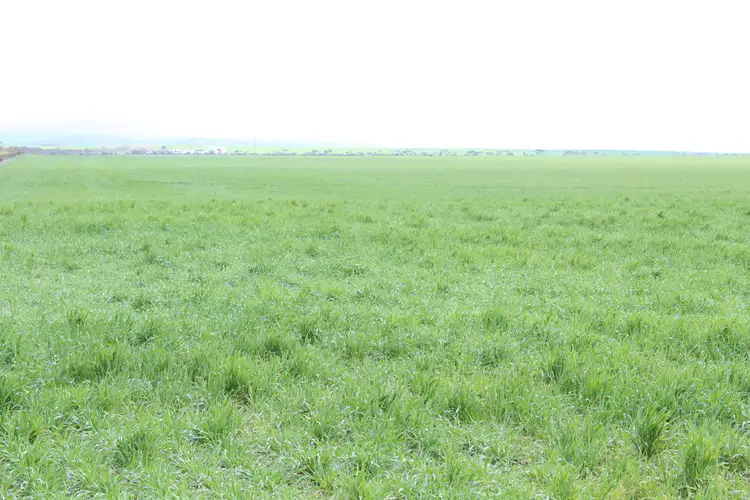 Fifth view of Homely land listing, LOT 780 Bumbunga Road, Lochiel SA 5510