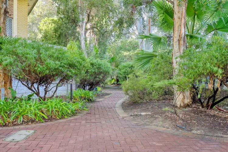 Sixth view of Homely apartment listing, 31/1 Herdsman Parade, Wembley WA 6014