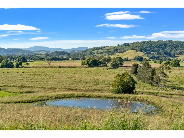 Main view of Homely land listing, 574 Keerrong Road, Keerrong NSW 2480