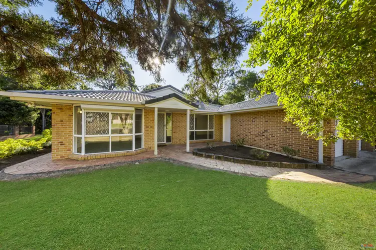 Main view of Homely house listing, 11 Sophia Place, Alexandra Hills QLD 4161