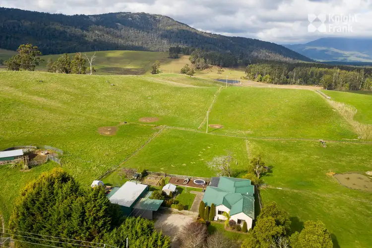 Fourth view of Homely house listing, 148 Austins Road, Scottsdale TAS 7260