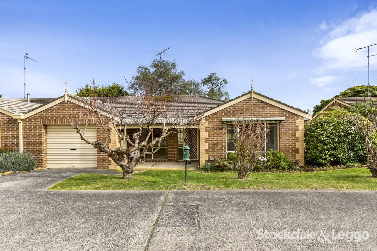 Main view of Homely unit listing, 3/53-55 Wyndham Street, Drysdale VIC 3222