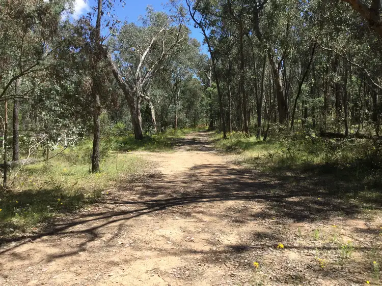 Second view of Homely rural property listing, 16B Chicks Track, Burrowye VIC 3709