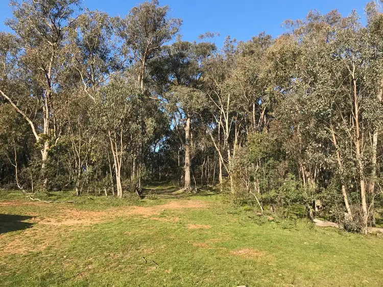 Fourth view of Homely rural property listing, 16B Chicks Track, Burrowye VIC 3709