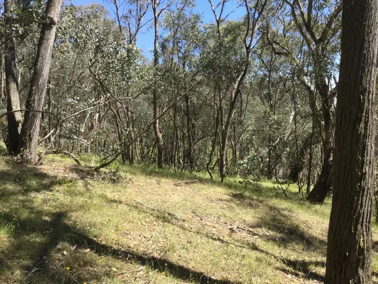 Fifth view of Homely rural property listing, 16B Chicks Track, Burrowye VIC 3709