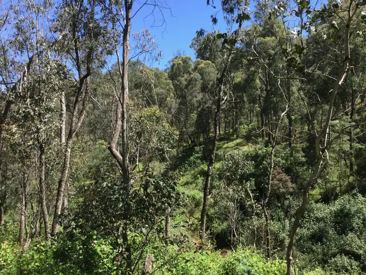 Sixth view of Homely rural property listing, 16B Chicks Track, Burrowye VIC 3709