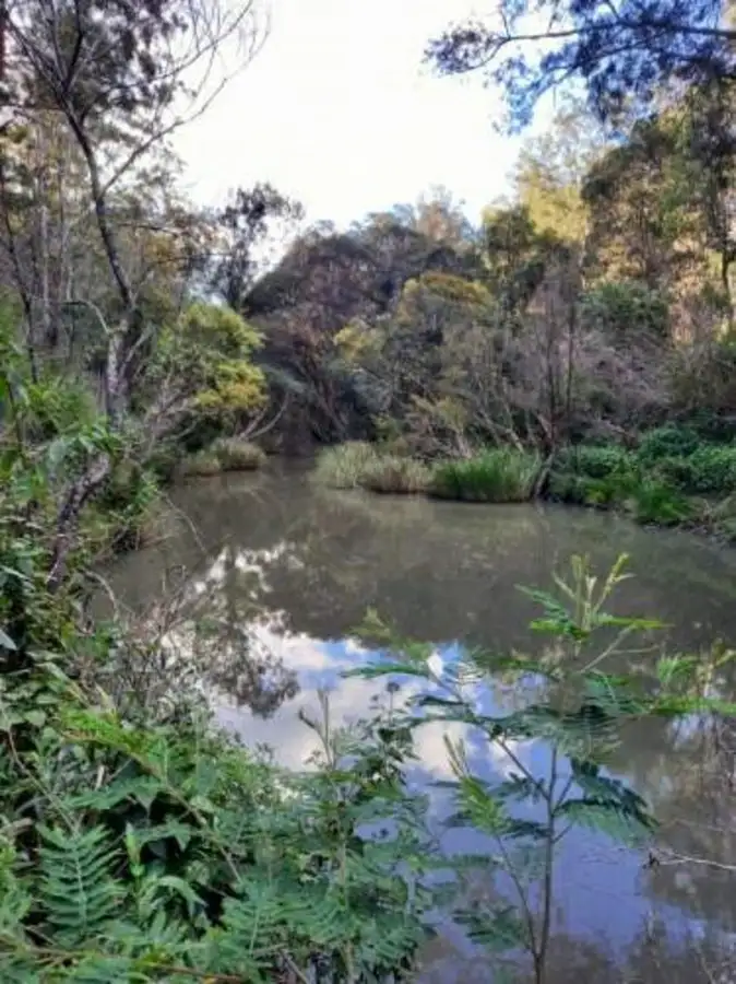 109 Mud Flat Road, Drake NSW 2469