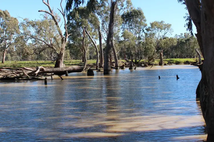 Main view of Homely rural property listing, 731 Gonn Road, Barham NSW 2732