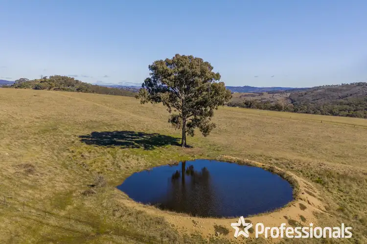 Fifth view of Homely rural property listing, 63 Wylchris Lane, Mount Rankin NSW 2795