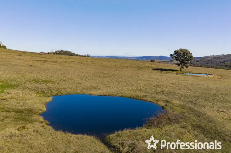 Sixth view of Homely rural property listing, 63 Wylchris Lane, Mount Rankin NSW 2795
