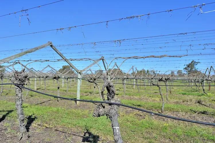 Third view of Homely land listing, 37 De Burgh Road, Caversham WA 6055