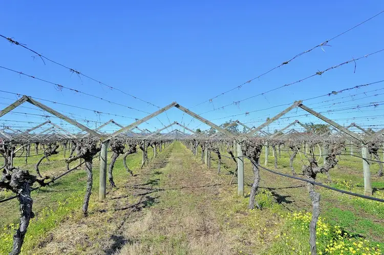 Sixth view of Homely land listing, 37 De Burgh Road, Caversham WA 6055