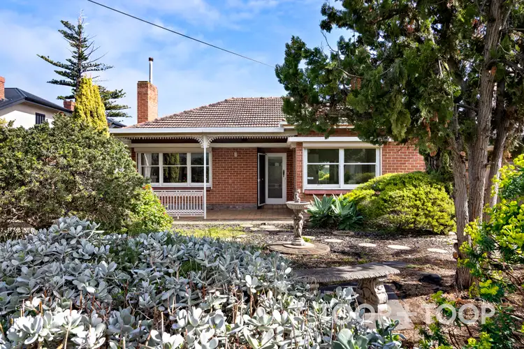36 King George Avenue, Brighton SA 5048