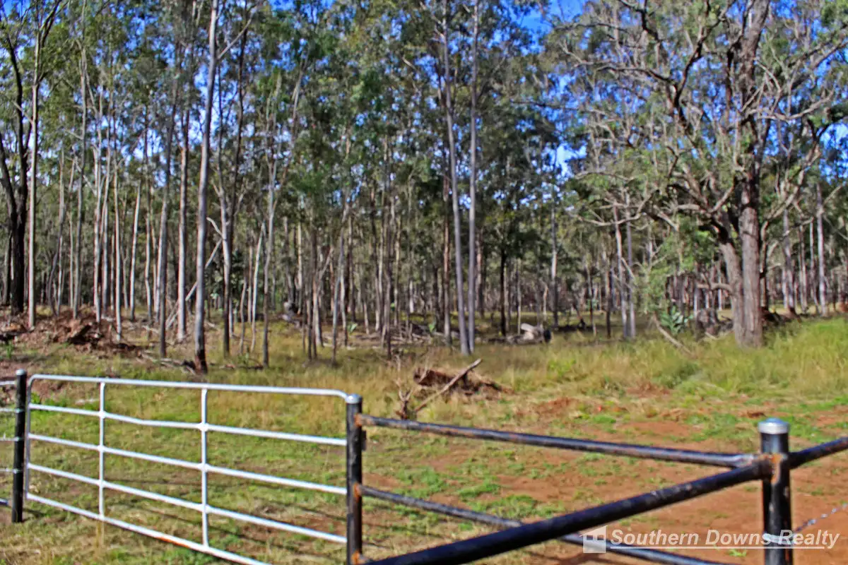 Main view of Homely rural property listing, LOT 80, 700 Tralee Road, Talgai QLD 4362