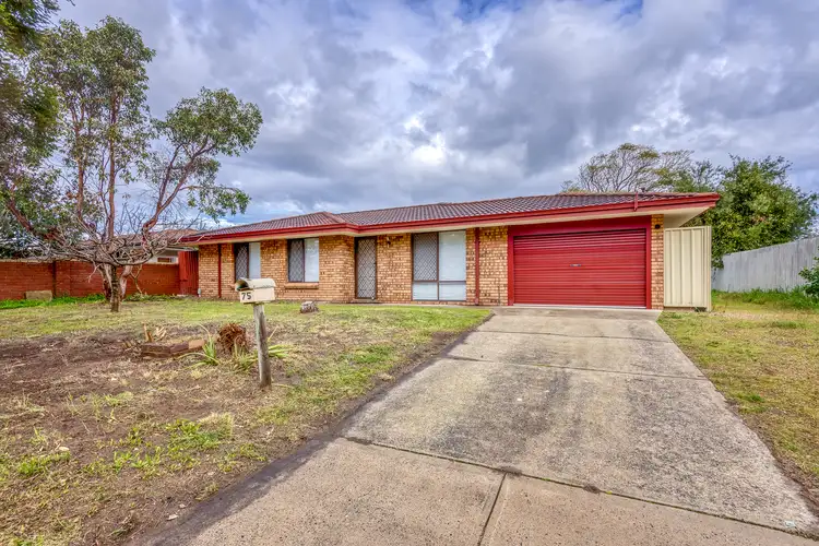 Main view of Homely house listing, 75 Redcliffe Avenue, Balga WA 6061