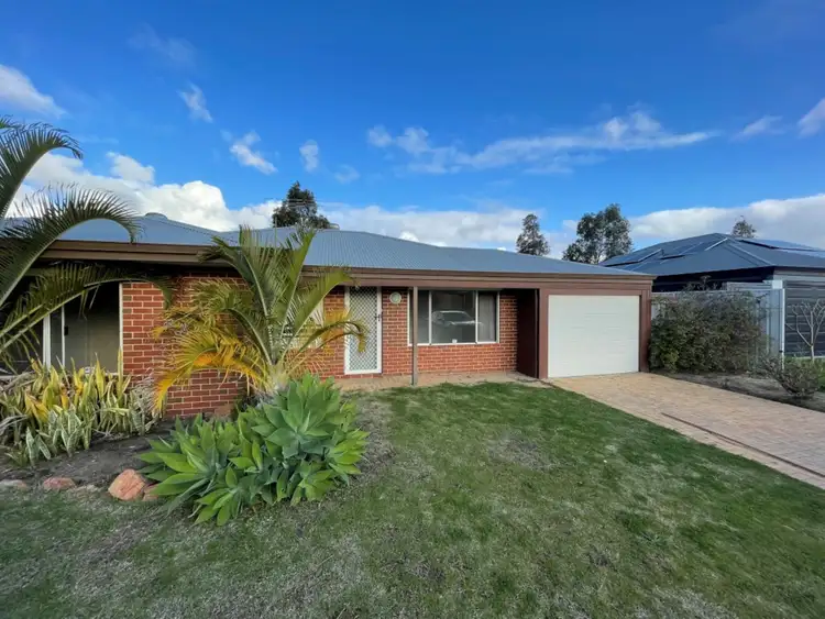 27 Ornata Bend, Banksia Grove WA 6031