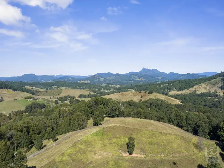 LOT 95 Pigeonberry Road, Nobbys Creek NSW 2484