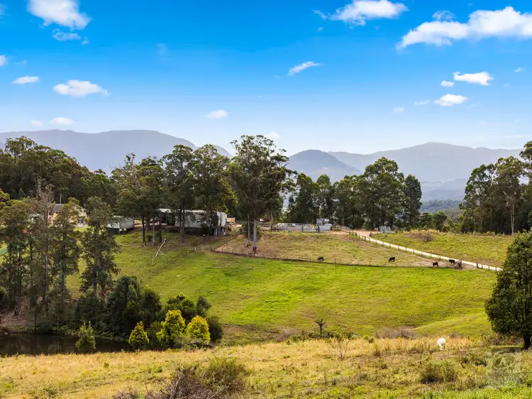 Third view of Homely rural property listing, 286 Tyalgum Ridge Road, Tyalgum NSW 2484
