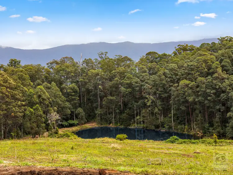 Fourth view of Homely rural property listing, 286 Tyalgum Ridge Road, Tyalgum NSW 2484