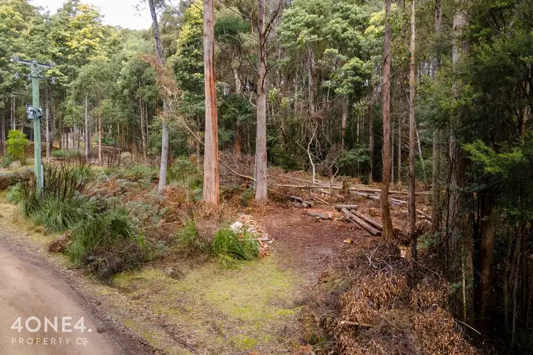 Third view of Homely land listing, LOT 1 Nicholls Rivulet Road, Nicholls Rivulet TAS 7112