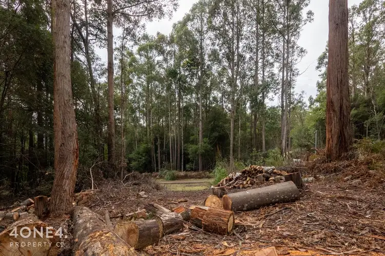 Fifth view of Homely land listing, LOT 1 Nicholls Rivulet Road, Nicholls Rivulet TAS 7112