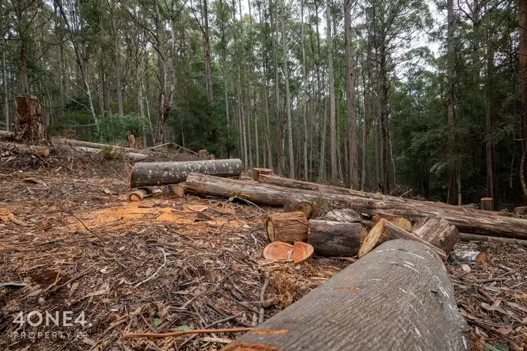 Sixth view of Homely land listing, LOT 1 Nicholls Rivulet Road, Nicholls Rivulet TAS 7112