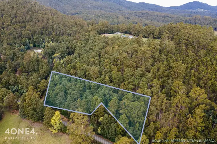 Seventh view of Homely land listing, LOT 1 Nicholls Rivulet Road, Nicholls Rivulet TAS 7112