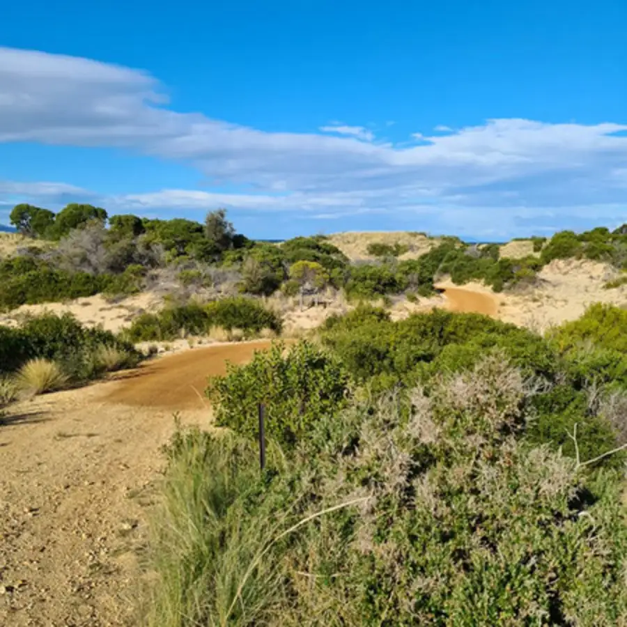 Main view of Homely land listing, 632 Dolphin Sands Road, Dolphin Sands TAS 7190