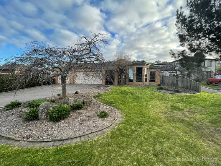 Main view of Homely house listing, 13 King Orchid Drive, Langwarrin VIC 3910