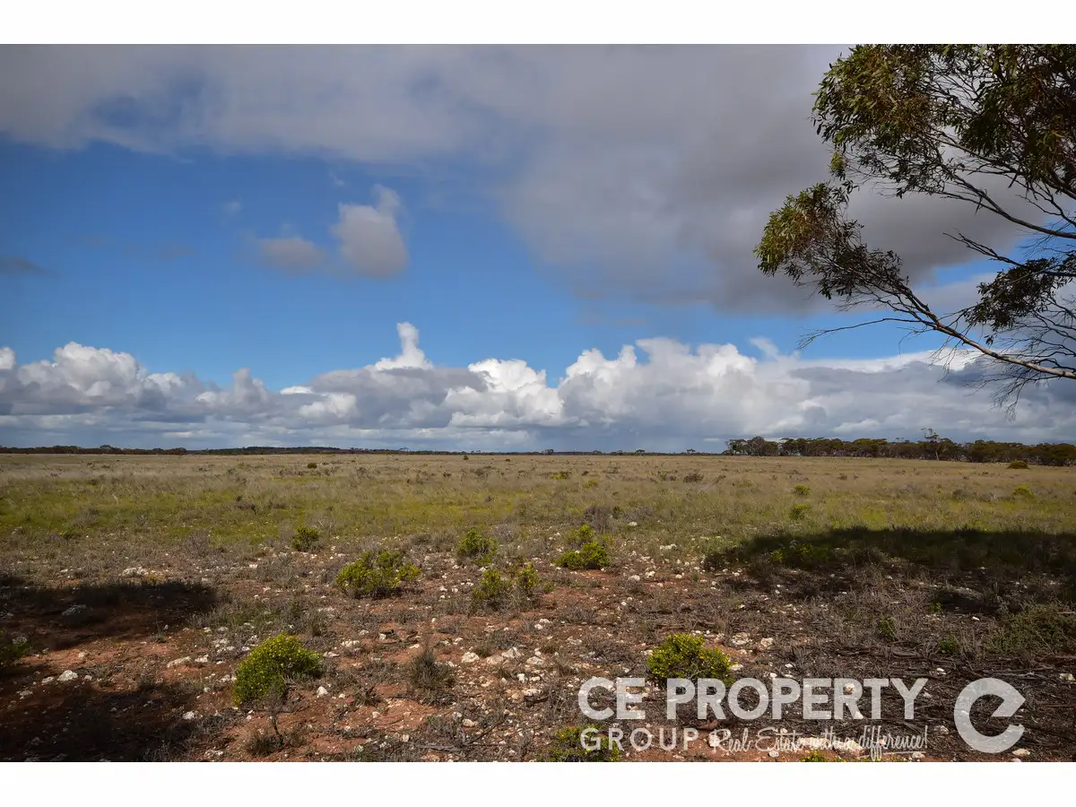 Main view of Homely rural property listing, Section 157 Strauss Road, Cambrai SA 5353
