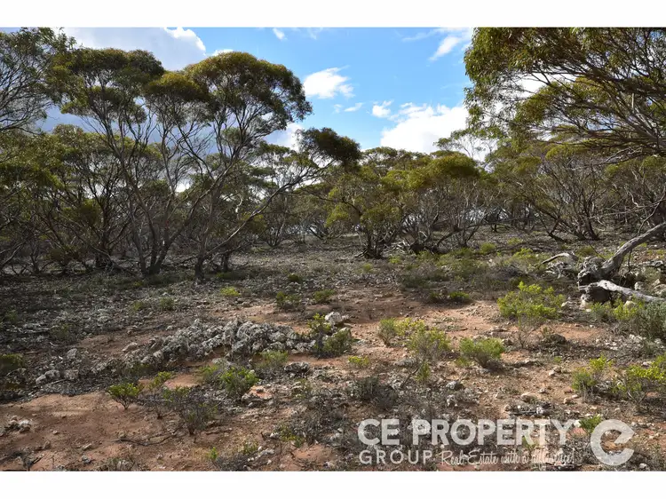 Second view of Homely rural property listing, Section 157 Strauss Road, Cambrai SA 5353