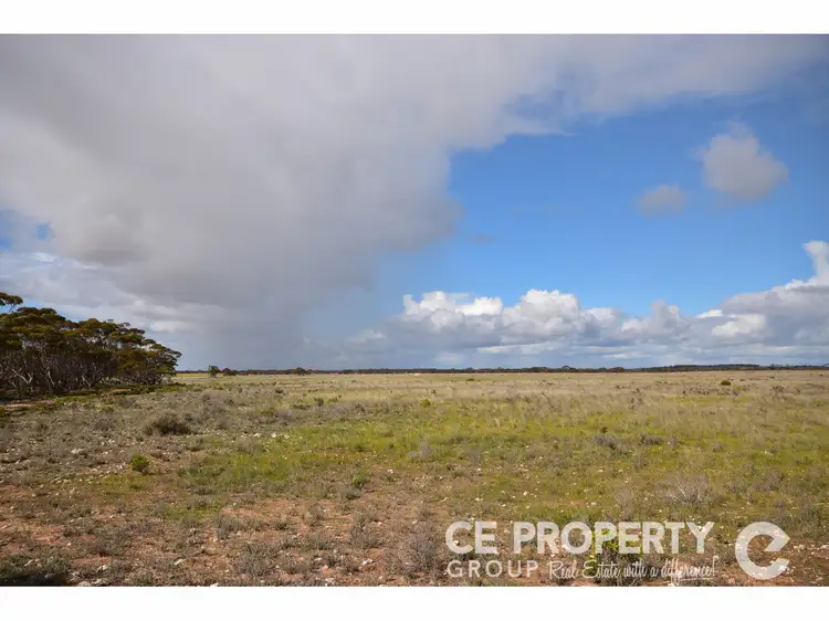 Third view of Homely rural property listing, Section 157 Strauss Road, Cambrai SA 5353