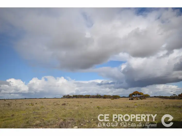 Fourth view of Homely rural property listing, Section 157 Strauss Road, Cambrai SA 5353