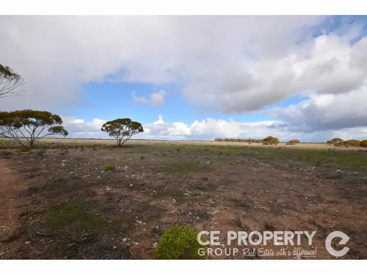 Fifth view of Homely rural property listing, Section 157 Strauss Road, Cambrai SA 5353