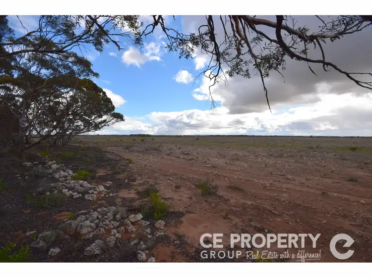 Sixth view of Homely rural property listing, Section 157 Strauss Road, Cambrai SA 5353