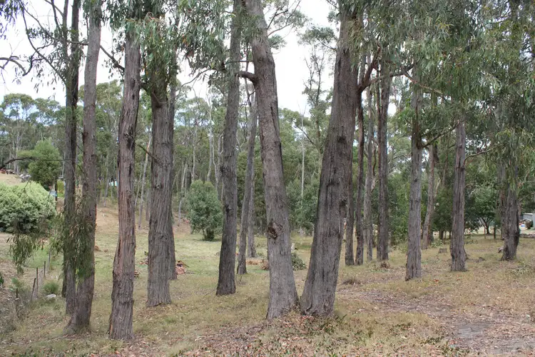 Main view of Homely land listing, 39 Cowans Drive, Dales Creek VIC 3341