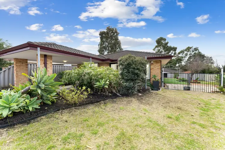 Main view of Homely house listing, 23 Reseda Elbow, Banksia Grove WA 6031