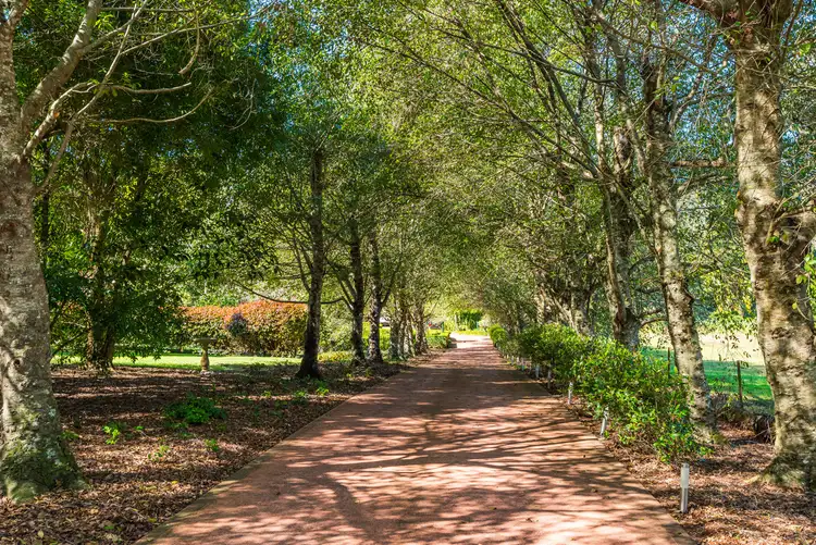 Third view of Homely rural property listing, 4/357 Wattle Tree Road, Holgate NSW 2250