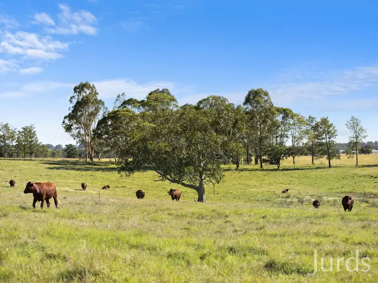 Sixth view of Homely rural property listing, 199 Anambah Road, Anambah NSW 2320