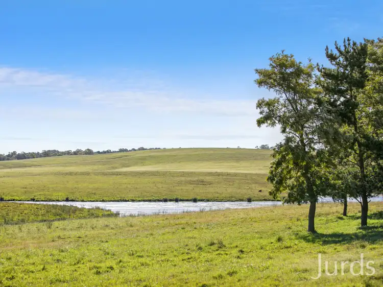 Seventh view of Homely rural property listing, 199 Anambah Road, Anambah NSW 2320