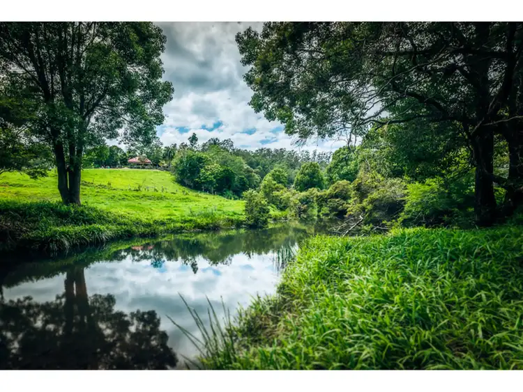 Fourth view of Homely rural property listing, 1316 bowraville Road, Bellingen NSW 2454