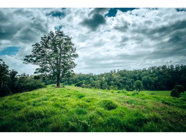 Fifth view of Homely rural property listing, 1316 bowraville Road, Bellingen NSW 2454