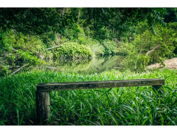 Sixth view of Homely rural property listing, 1316 bowraville Road, Bellingen NSW 2454
