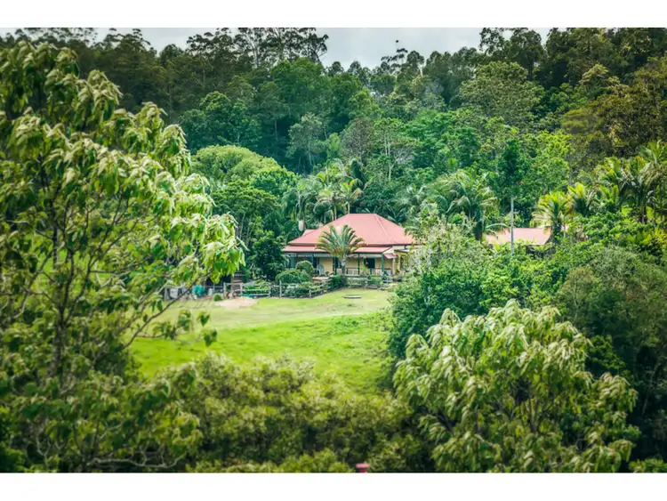 Seventh view of Homely rural property listing, 1316 bowraville Road, Bellingen NSW 2454