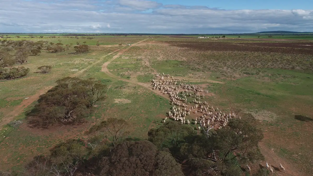 Main view of Homely land listing, LOT 51 Gleeson Road, Mount Templeton SA 5461