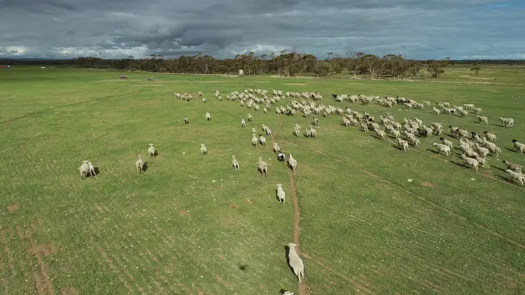 Third view of Homely land listing, LOT 51 Gleeson Road, Mount Templeton SA 5461