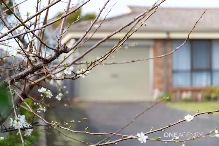 Fifth view of Homely unit listing, 3/7 Fidler Street, Cooee TAS 7320
