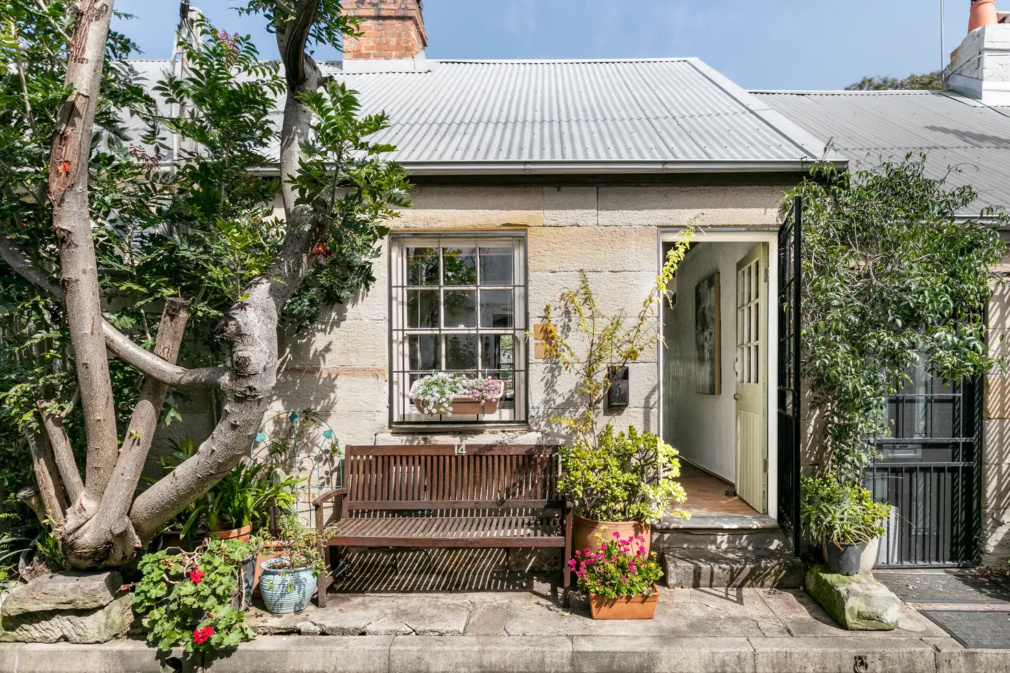 Main view of Homely terrace listing, 14 McElhone Place, Surry Hills NSW 2010